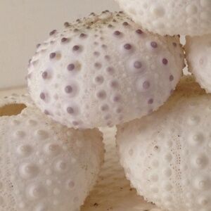 Meet your Posher, Lynn